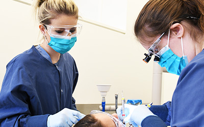 Dental Hygiene students cleaning teeth.