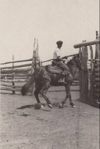 Albert Berg working on a ranch in Montana