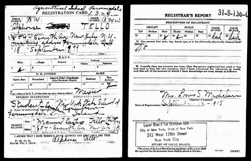 Alphonse Tello's World War I Draft Registration Card