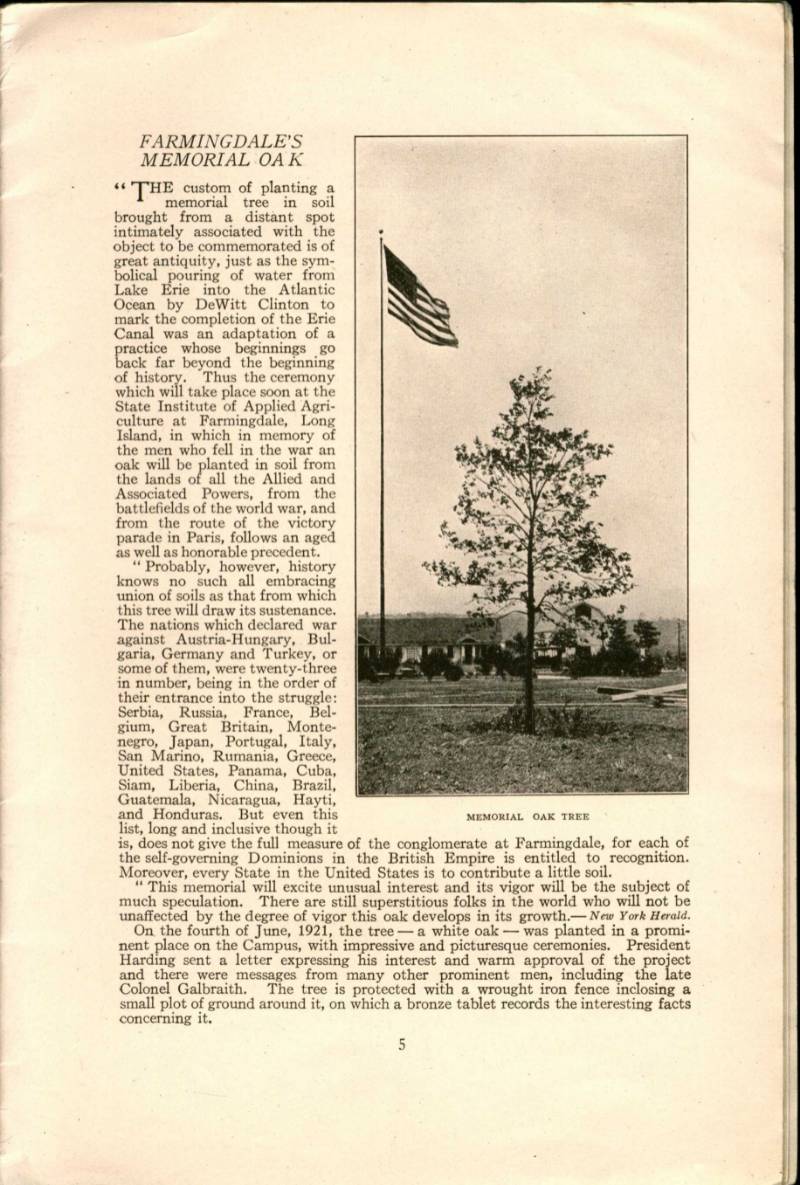 a description of the Memorial Oak from 1921-22