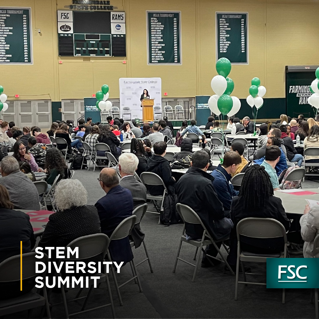 2024 STEM Summit