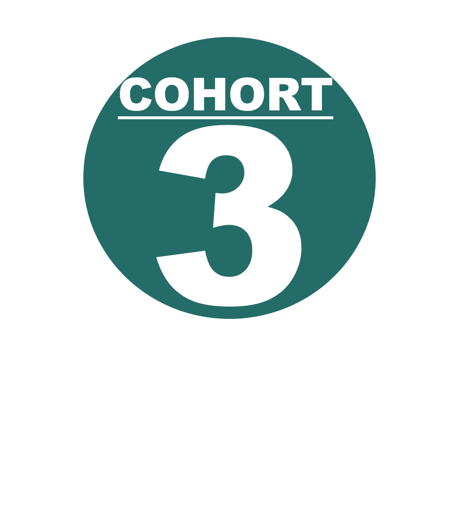 Cohort 3