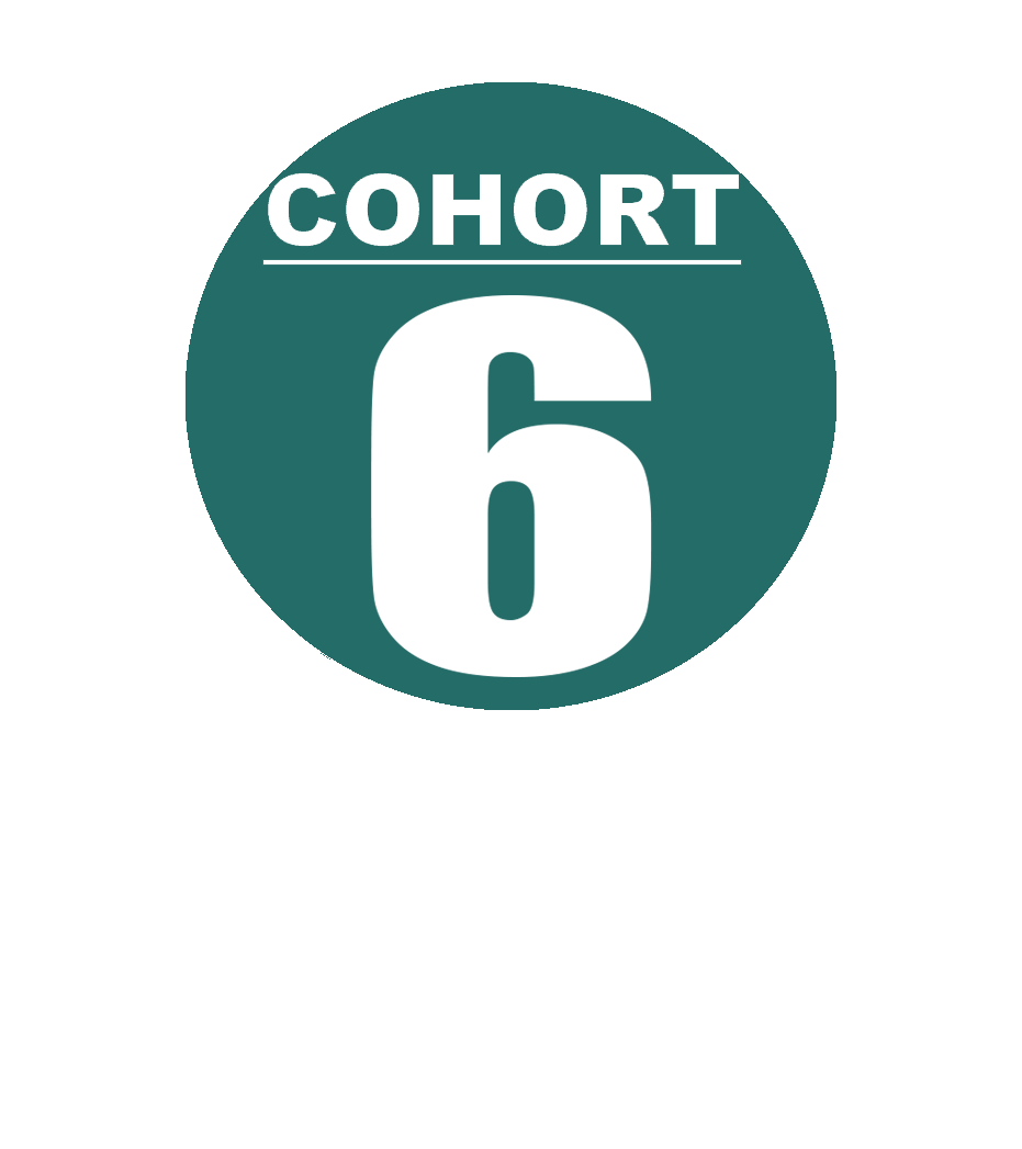 Cohort 6