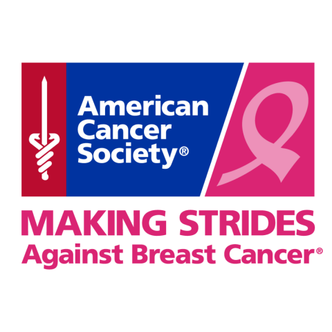 Making Strides Breast Cancer Logo
