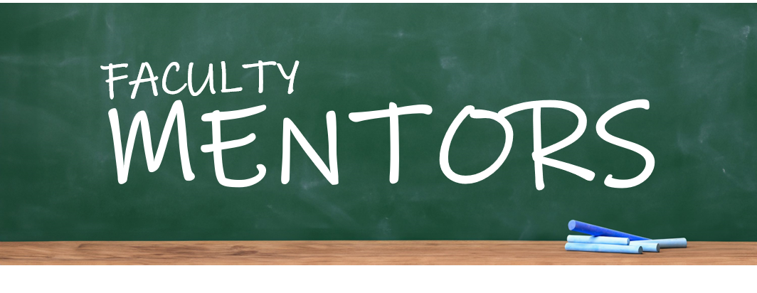 Faculty Mentors