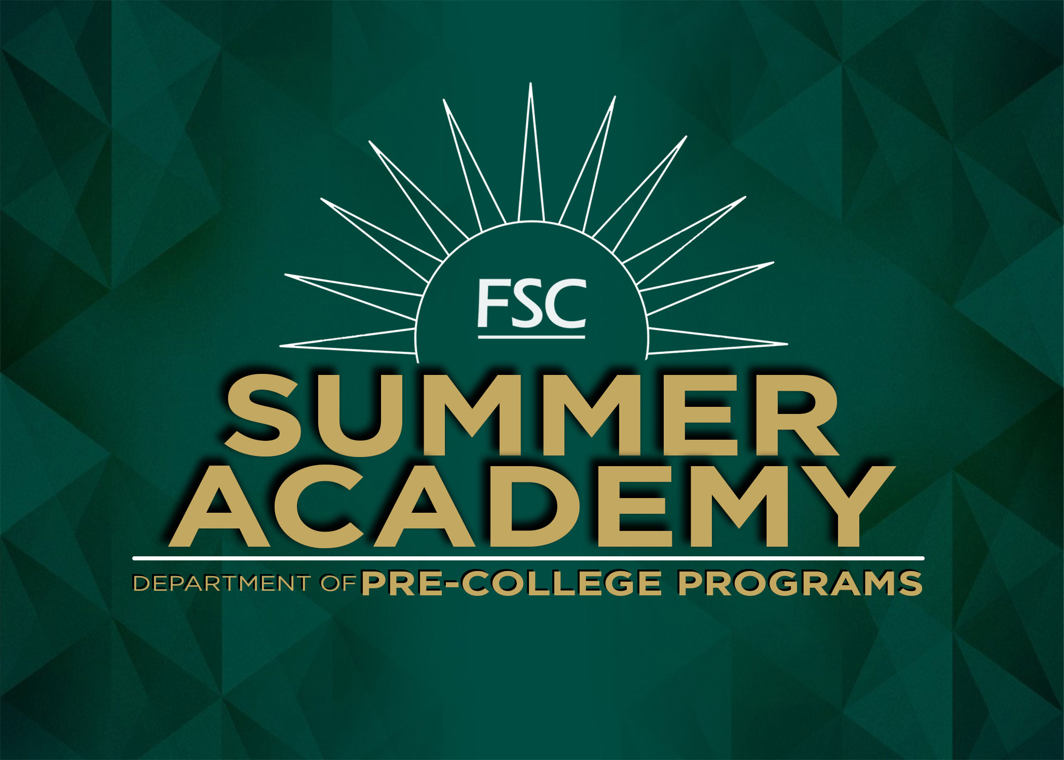Summer Academy Logo